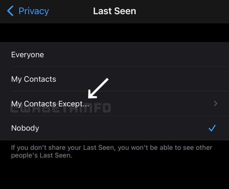 WhatsApp iOS Privacy Settings