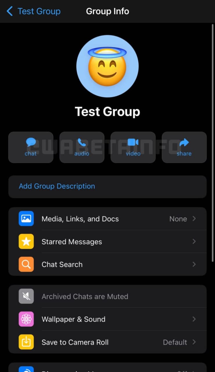 WhatsApp ios redesign group info
