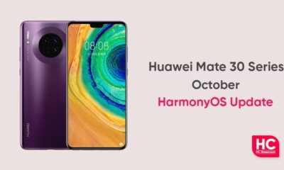 Huawei Mate 30 November 2021 security
