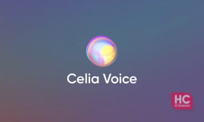 Celia Voice