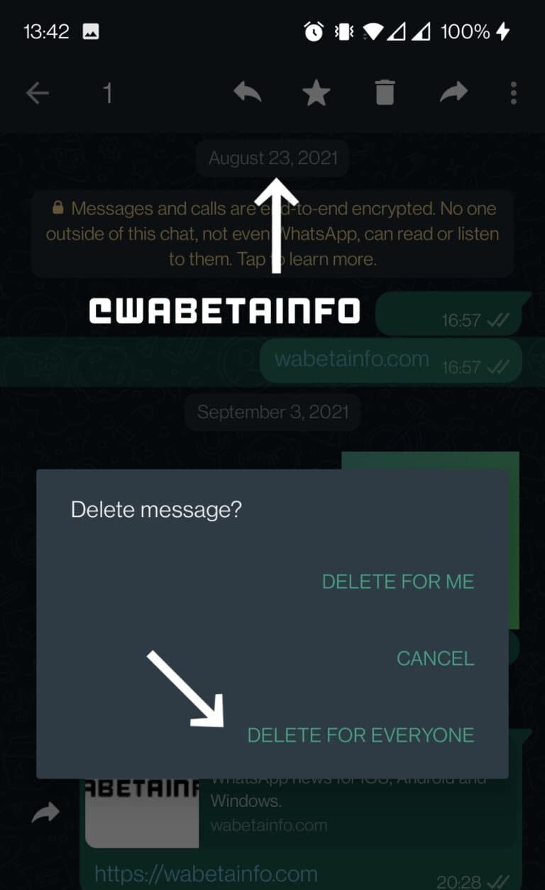 WhatsApp delete message feature