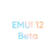 EMUI 12 beta