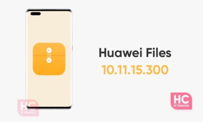 Huawei Files 10.11.15.300