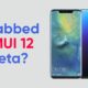 Huawei Mate 20 EMUI 12 beta
