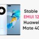 stable EMUI 12 Huawei Mate 40