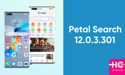 Huawei Petal Search 12.0.3.301