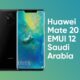 Huawei mate 20 emui 12 middle east