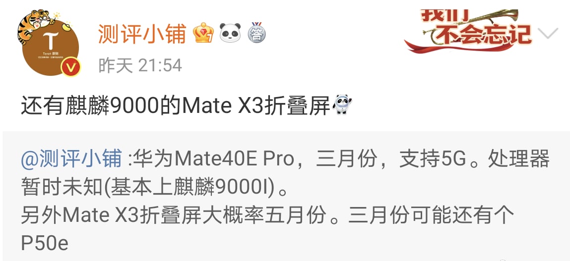 Huawei Mate X3 TENNA