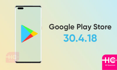 Google Play Store 30.4.18