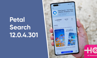 Huawei Petal Search 12.0.4.301