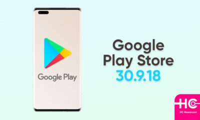 Google Play Store 30.9.18