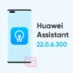 Huawei Assistant 22.0.6.300 update