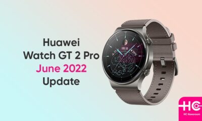 Huawei Watch GT 2 Pro 11.0.9.10 update