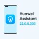 huawei assistant 22.0.5.303