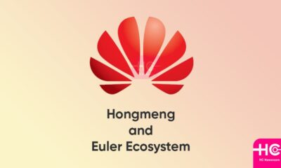 Shenzhen Hongmeng Euler