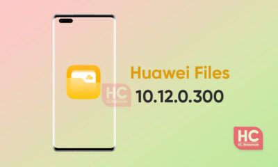 Huawei Files 10.12.0.300 update