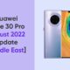 Huawei Mate 30 Pro August 2022 update