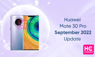 Huawei Mate 30 emui update