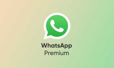 WhatsApp Paid version
