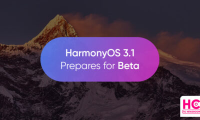 Harmonyos 3.1 beta