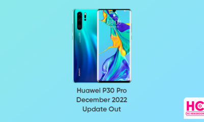 Huawei P30 Pro December 2022 update