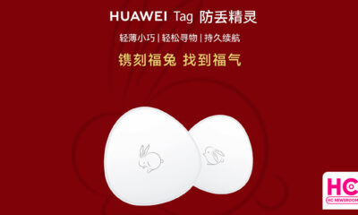 Huawei tag rabbit