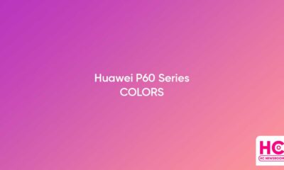 Huawei P60 color