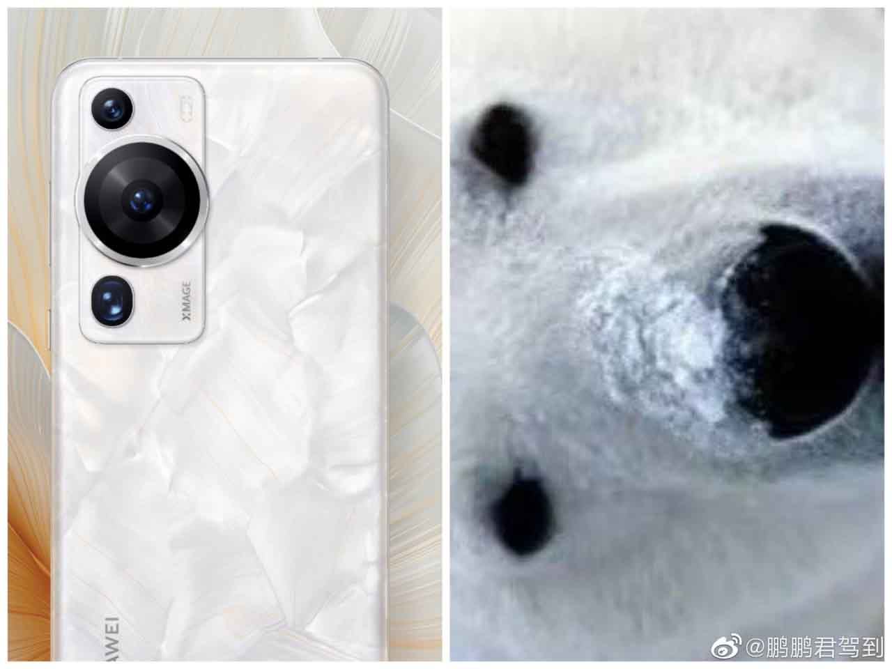Huawei P60 series camera fun