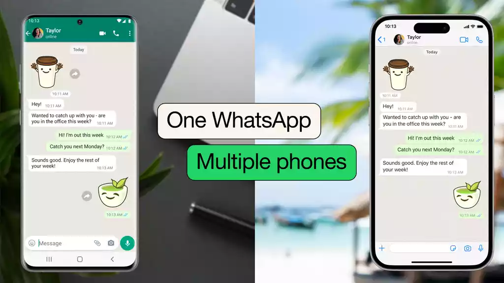 WhatsApp multiple phones