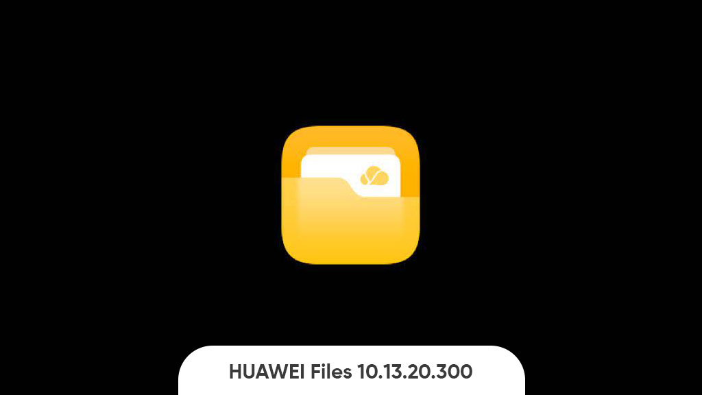 Huawei Files 10.13.20.300