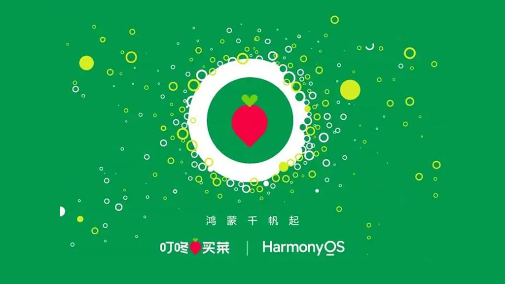 Dingdong HarmonyOS native app development