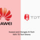 Huawei 100% TD Tech shares