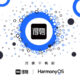 Dewu HarmonyOS native app development