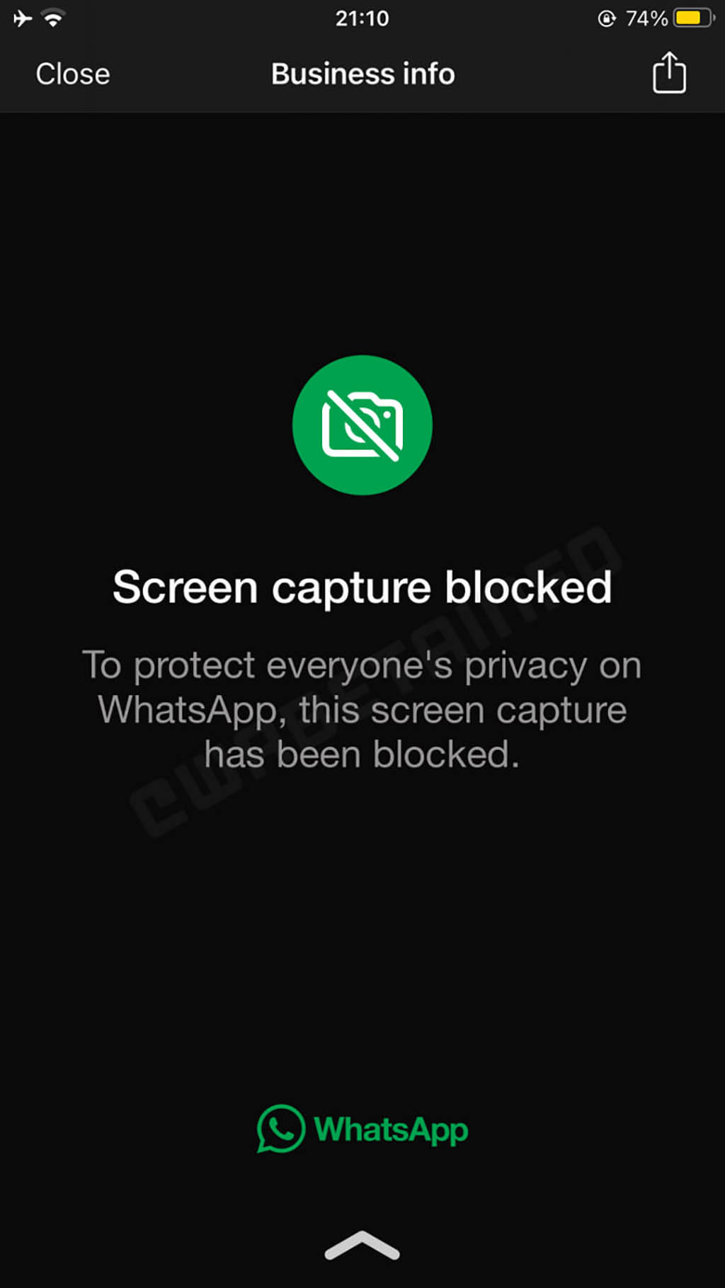 WhatsApp sta preparando una nuova funzionalità di privacy per proteggere la tua immagine del profilo